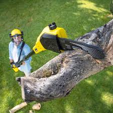 Best Pest Control for Lawns  in Belmont, PA